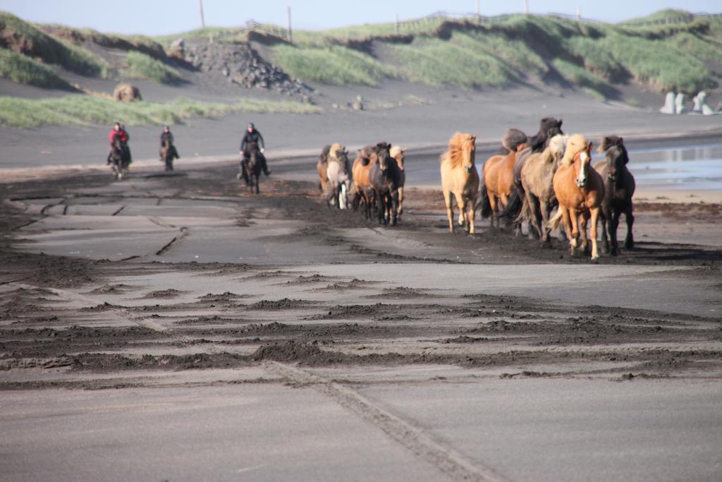 Jonna Guesthouse Þorlákshöfn Bagian luar foto